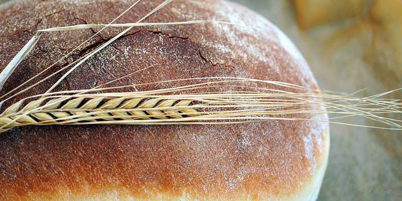 brot kühlschrank