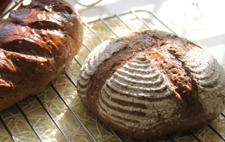 brot einfrieren auftauen