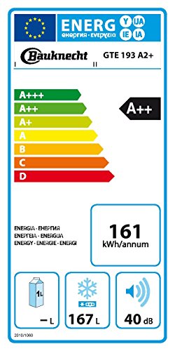 bauknecht gefriertruhe 