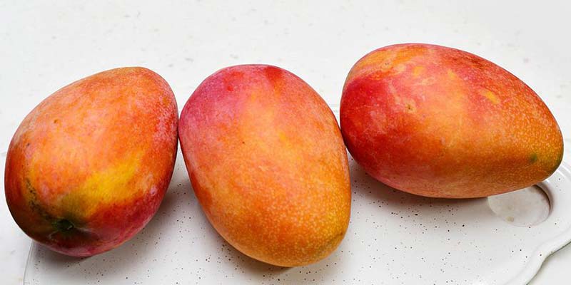 mango richtig aufbewahren